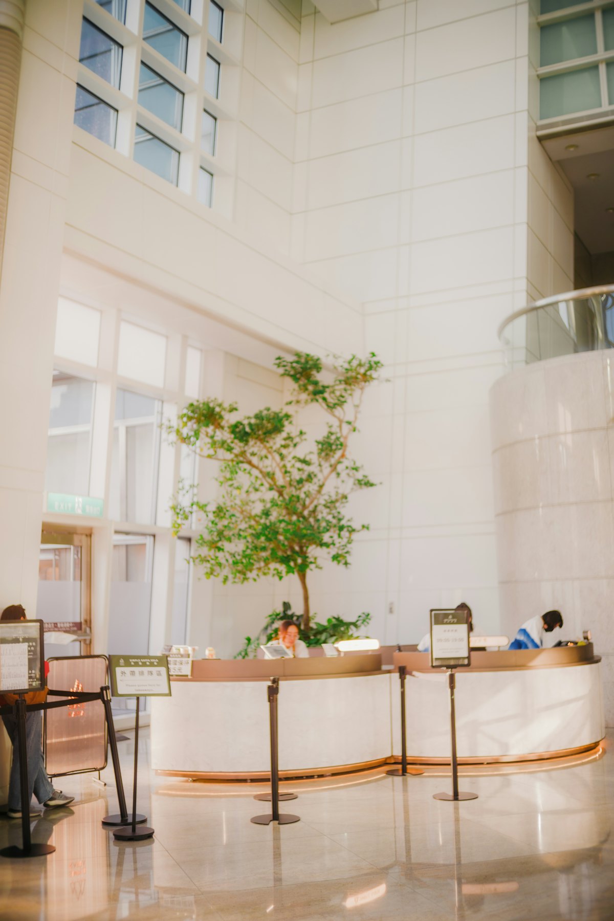 Recepção de empreendimento de hospitalidade com ambiente arquitetônico contemporâneo